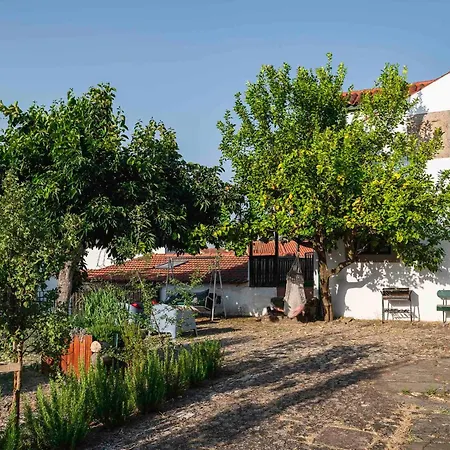 Casa Trebaruna - Refugio Numa Aldeia Do Interior