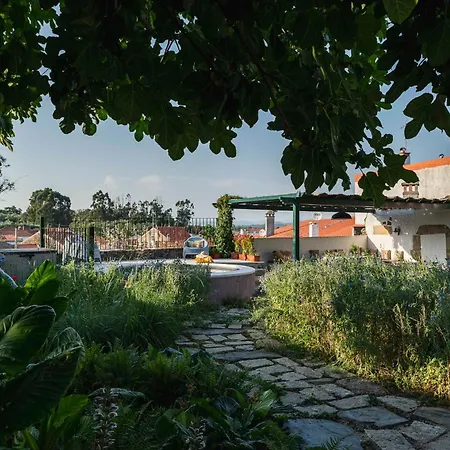 Casa Trebaruna - Refugio Numa Aldeia Do Interior Villa *